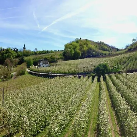 Spiegelhof Apartment Appiano Sulla Strada Del Vino Exterior photo