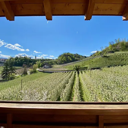 Spiegelhof Apartment Appiano Sulla Strada Del Vino Exterior photo