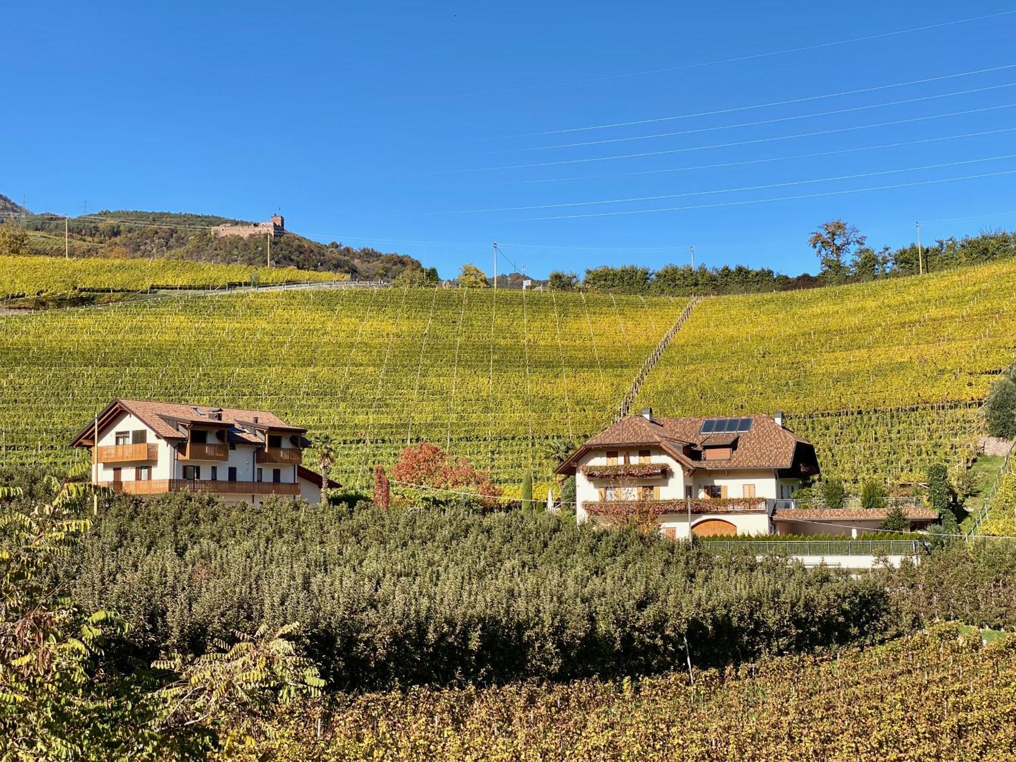 Spiegelhof