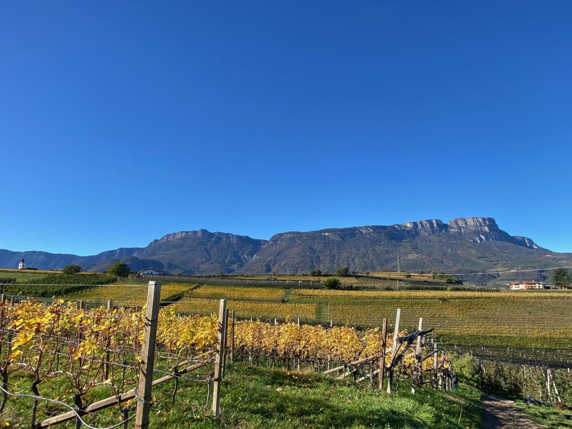 Apartment Spiegelhof Appiano Sulla Strada Del Vino